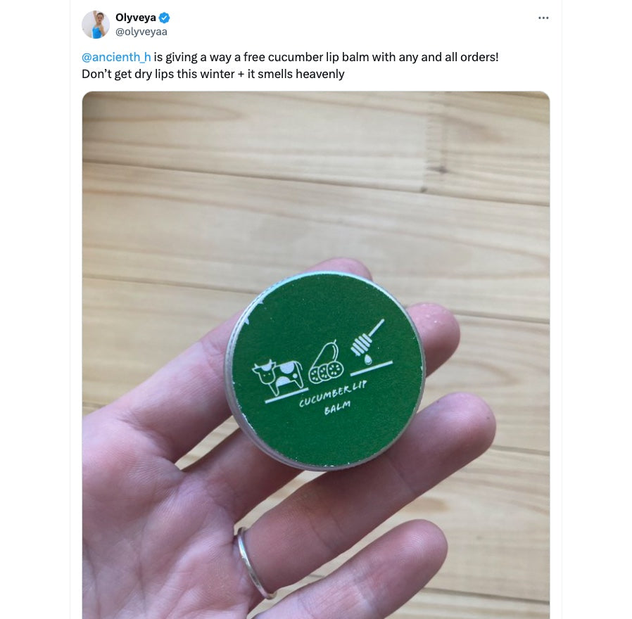 100% grassfed beef tallow lip balm with raw honey and natural essential oils best for cracked dry sensitive bloody lips